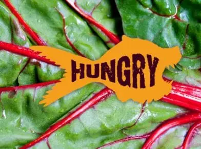 HUNGRY TO TAKE OVER THE WEB? CITYSEARCH IS!