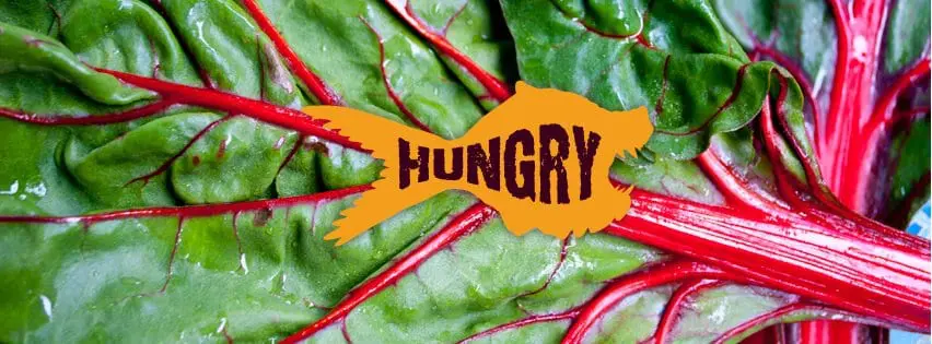 HUNGRY TO TAKE OVER THE WEB? CITYSEARCH IS!