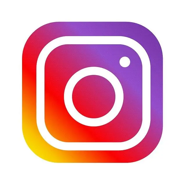 INSTA IN APP PAY
