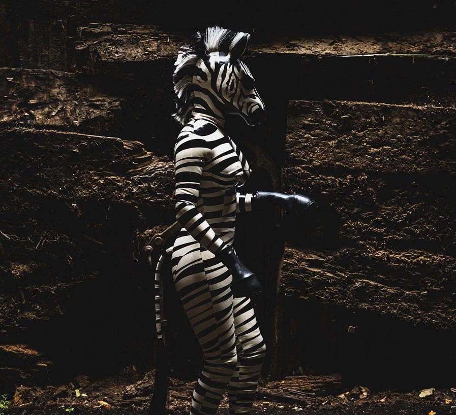 ANATOMY OF AN ORGANIC TREND, OR “WHAT I LEARNED FROM #ZEBRAGIRL”